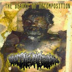 The Beauty of Decomposition